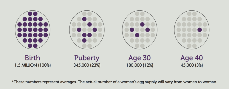 What is the average egg count by age?