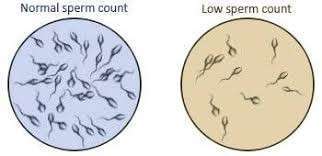 man-has-a-low-sperm-count