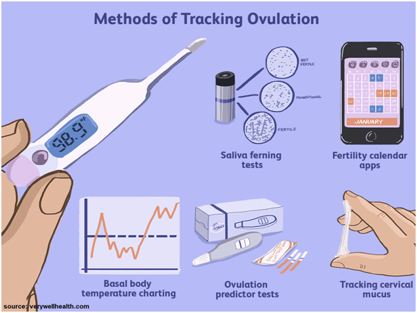 When do you know you are ovulating?