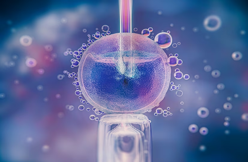 Natural Frozen Embryo Transfer