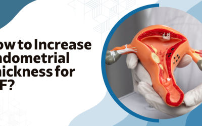 How to Increase Endometrial Thickness for IVF?