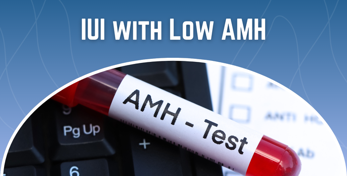 IUI with Low AMH