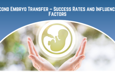 Second Embryo Transfer – Success Rates and Influencing Factors