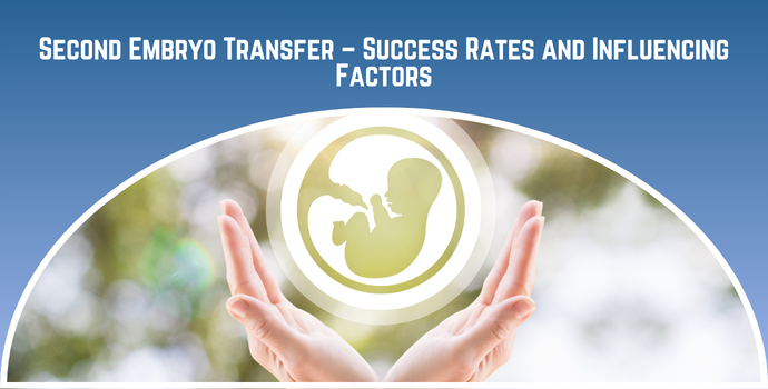 Second Embryo Transfer – Success Rates and Influencing Factors