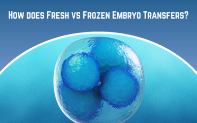How does Fresh vs Frozen Embryo Transfers?