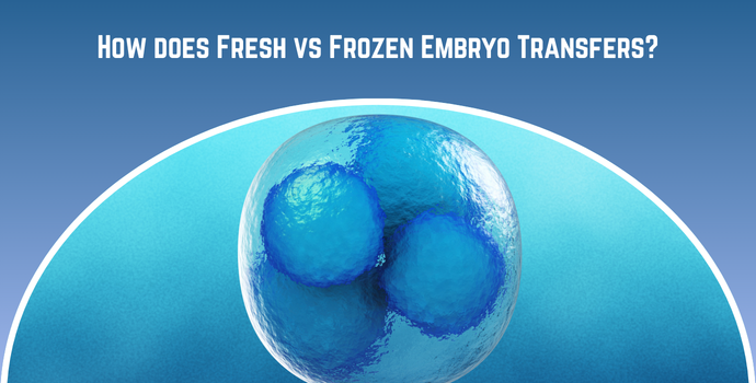 How does Fresh vs Frozen Embryo Transfers?