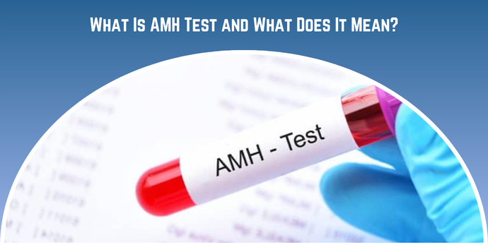What Is AMH Test and What Does It Mean
