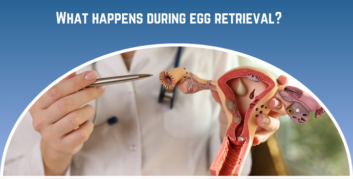 What happens during egg retrieval?