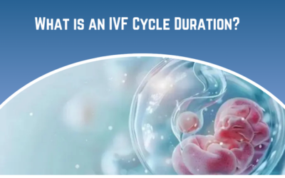 What is an IVF Cycle Duration?