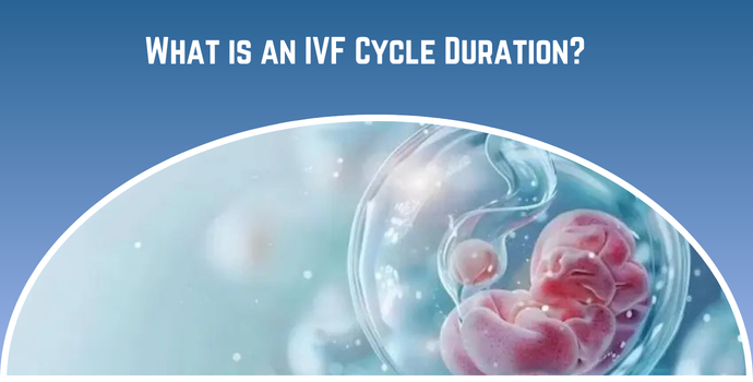 What is an IVF Cycle Duration?