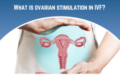 What is Ovarian Stimulation in IVF?