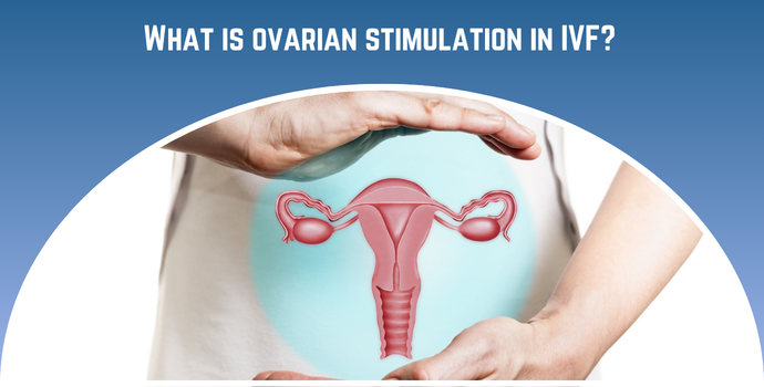 What is Ovarian Stimulation in IVF?