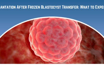 Implantation After Frozen Blastocyst Transfer: What to Expect