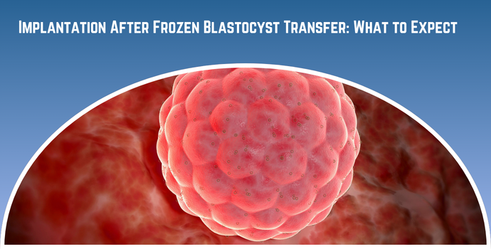 Close-up of a pink blastocyst inside a curved white frame against a blue gradient background, for an article on implantation after frozen blastocyst transfer.