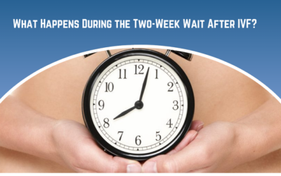 What Happens During the Two-Week Wait After IVF?