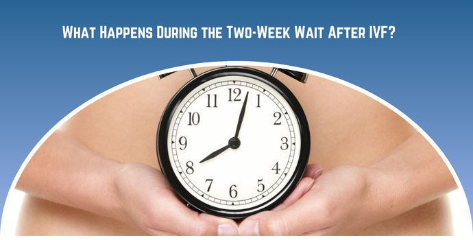 What Happens During the Two-Week Wait After IVF