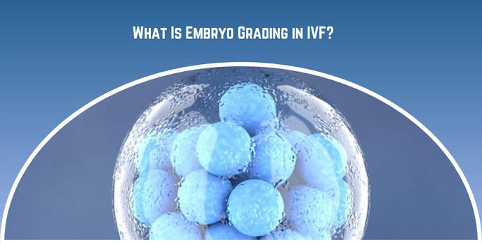 Informational header about embryo grading in IVF: blue spheres inside a glass dome on a blue gradient background.