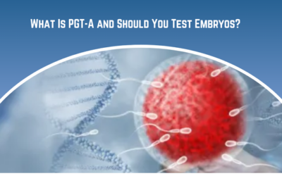 What Is PGT-A and Should You Test Embryos?