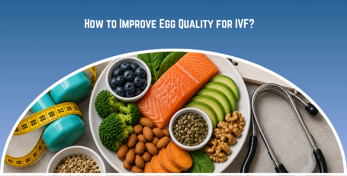 How to Improve Egg Quality for IVF