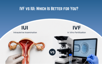 IVF vs IUI: Which Is Better for You?