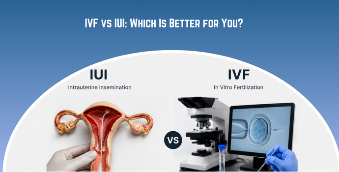 Infographic comparing IUI and IVF; left shows a uterus model, right a lab with a microscope and computer monitor.