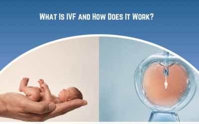 What Is IVF and How Does It Work?