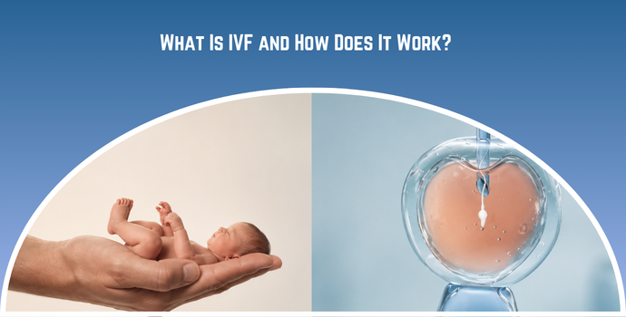 Banner about IVF: left panel shows a baby cradled in a hand, right panel shows an embryo in a glass incubator, with the headline 'What Is IVF and How Does It Work?'