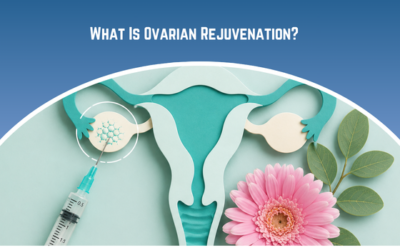 What Is Ovarian Rejuvenation?