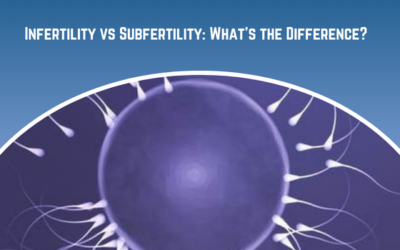 Infertility vs Subfertility: What’s the Difference?