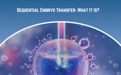 Sequential Embryo Transfer: What It Is?