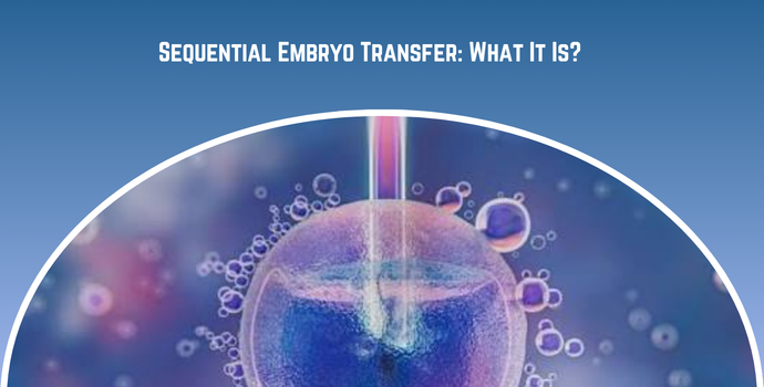 Sequential Embryo Transfer What It Is