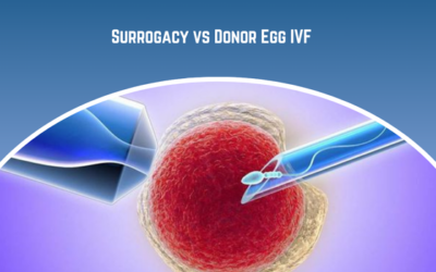 Surrogacy vs Donor Egg IVF: What Is the Difference?