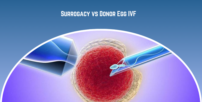 Surrogacy vs Donor Egg IVF