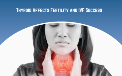 How Does Thyroid Affect Fertility and IVF Success?