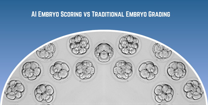AI Embryo Scoring vs Traditional Embryo Grading: What’s the Real Difference?