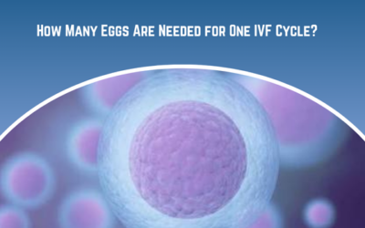 How Many Eggs Are Needed for One IVF Cycle?