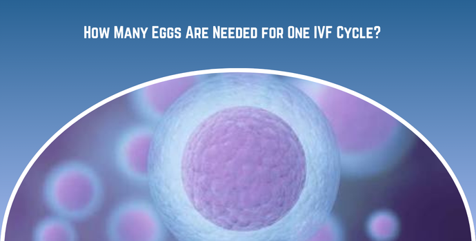 How Many Eggs Are Needed for One IVF Cycle