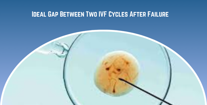 Ideal Gap Between Two IVF Cycles After Failure?