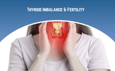 Does Thyroid Imbalance Affect Fertility and IVF Outcomes?