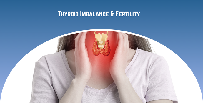 Thyroid Imbalance Fertility